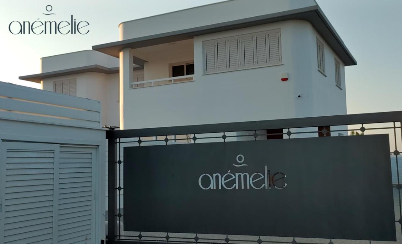 Anemelie Βίλα Σωτήρα Εξωτερικό φωτογραφία